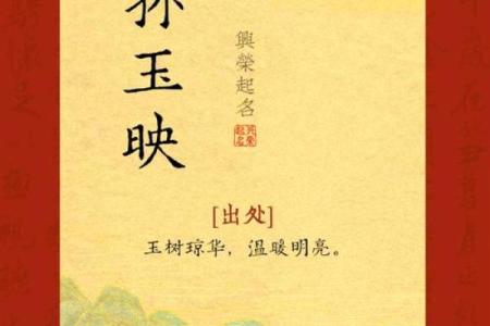 孙起名字的寓意与选择技巧