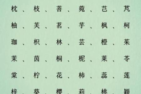挑选富有寓意的女孩名字，让孩子从名字开始闪耀