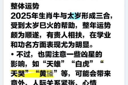 出生属牛人在属牛的人感情与健康运势分析