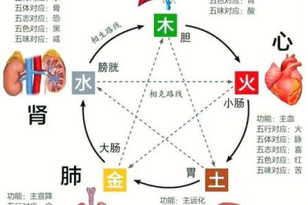 天然气与五行相生相克的奥秘解析