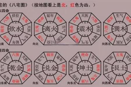 五行土虎的吉凶与生活运势，你知道吗