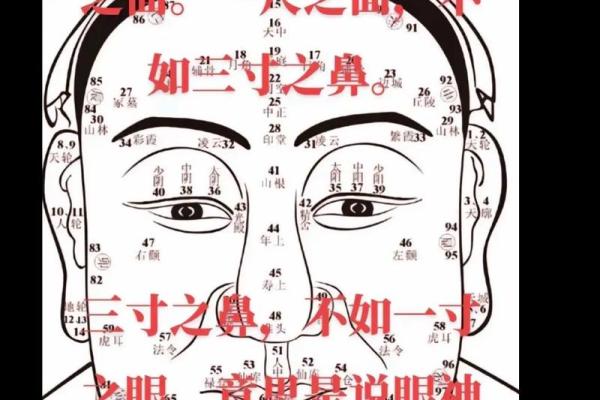 揭秘美女八字:命运如何影响你的颜值与魅力? 揭秘美女八字:命运如何影响你的颜值与魅力?