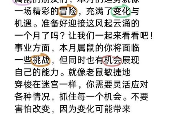 属鼠生人运势起伏：如何应对挑战