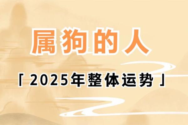 属狗人运势详解与注意事项