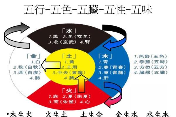 泌五行属于哪个元素？揭秘中医五行与泌尿系统的关系