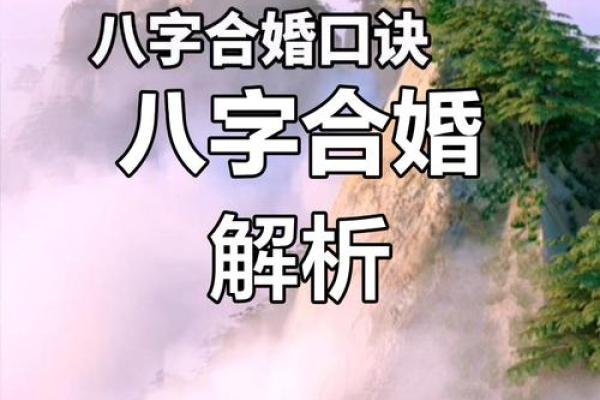 八字合婚大揭秘:如何通过八字分析找到你的理想伴侣? 八字合婚大揭秘:如何通过八字分析找到你的理想伴侣?