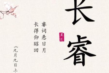 名字的深层含义与文化解读
