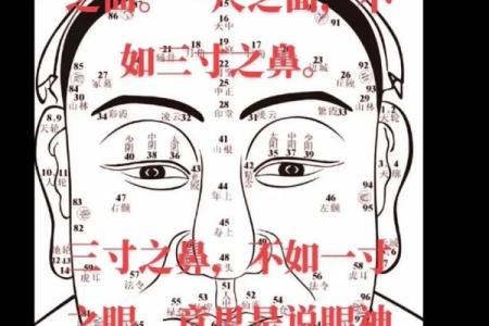 揭秘美女八字：命运如何影响你的颜值与魅力？