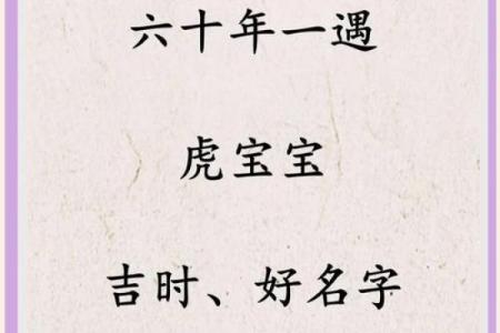 虎年出生的宝宝名字寓意及推荐