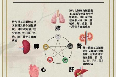 泌五行属于哪个元素？揭秘中医五行与泌尿系统的关系
