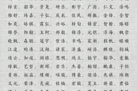木命宝宝起名技巧：如何为出生的孩子挑选名字