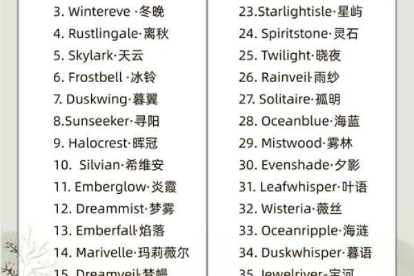提升群组魅力的英文名字推荐