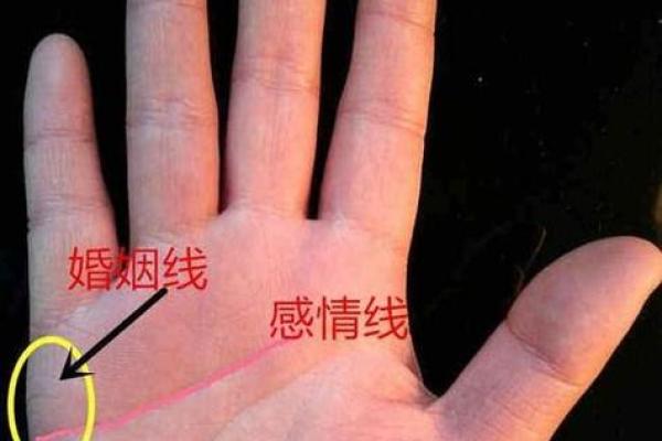甲子男命二婚后,如何保持感情的稳定? 甲子男命二婚后,如何保持感情的稳定?
