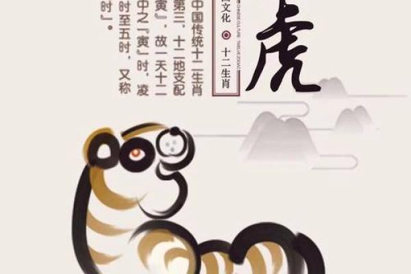 虎子运程:财富、健康与人际关系的关键年份 虎子运程:财富、健康与人际关系的关键年份