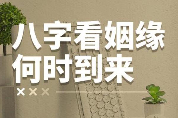 八字中的离婚信号,你注意到了吗? 八字中的离婚信号,你注意到了吗?