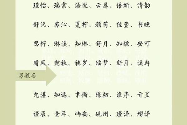 猪年男孩名字大全:寓意美好又顺口的名字精选 猪年男孩名字大全:寓意美好又顺口的名字精选