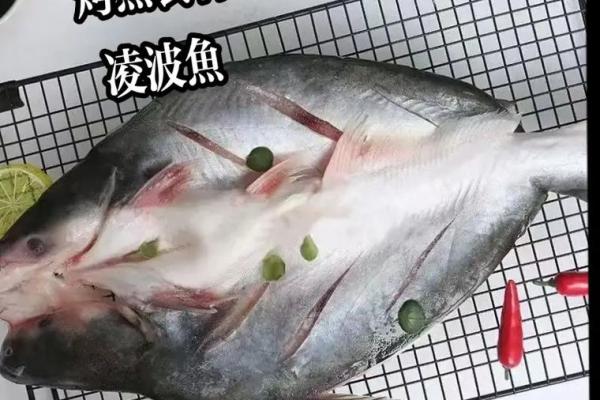 如何选择最适合的烤鱼食材 如何选择最适合的烤鱼食材