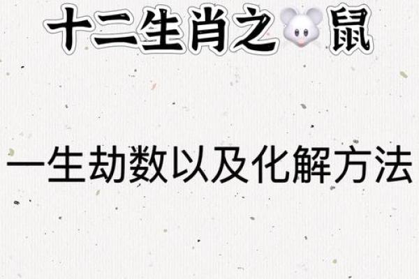 属鼠人财运与感情运势全解 属鼠人财运与感情运势全解
