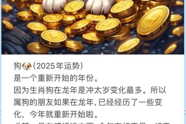 属相运程解析：揭示你的命运走势