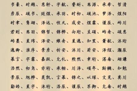 阳宝宝起名技巧：如何选出既有寓意又有特色的名字