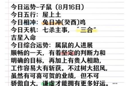 属鼠今天运程：如何应对工作中的挑战与机遇