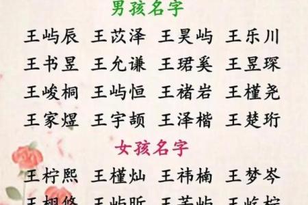 田姓宝宝取名指南：打造与众不同的名字
