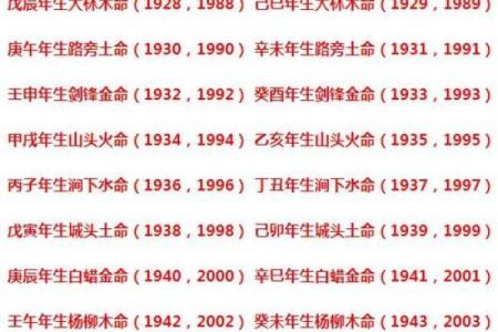 虎子运程：财富、健康与人际关系的关键年份
