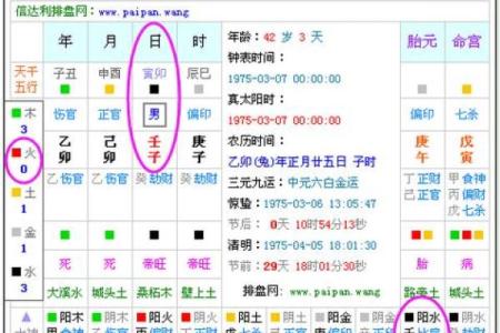 生辰八字五行免费查询，揭秘你的命运密码！