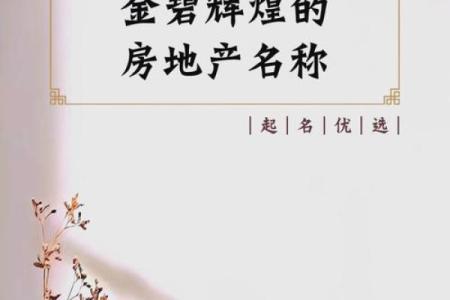 如何为房地产公司起个响亮且独特的名字
