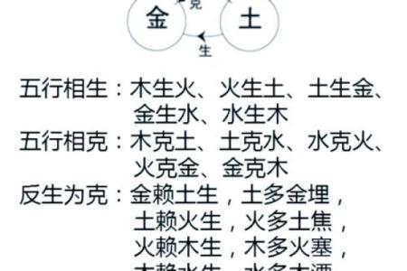 掌握四柱八字解析，助你破解人生的隐藏密码