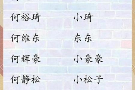 猪年男孩名字大全：寓意美好又顺口的名字精选