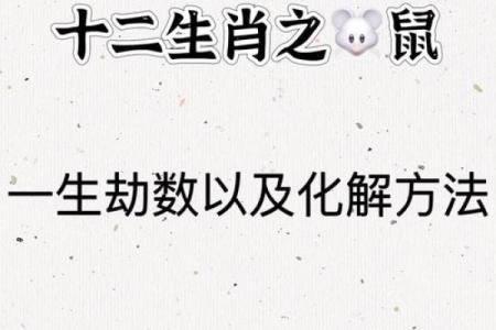 属鼠人财运与感情运势全解