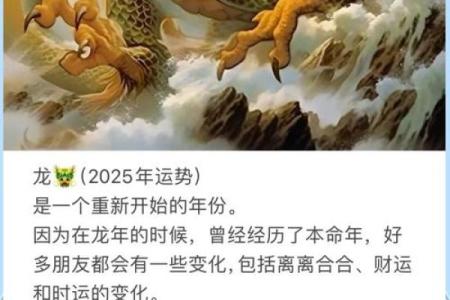 属相运程解析：揭示你的命运走势