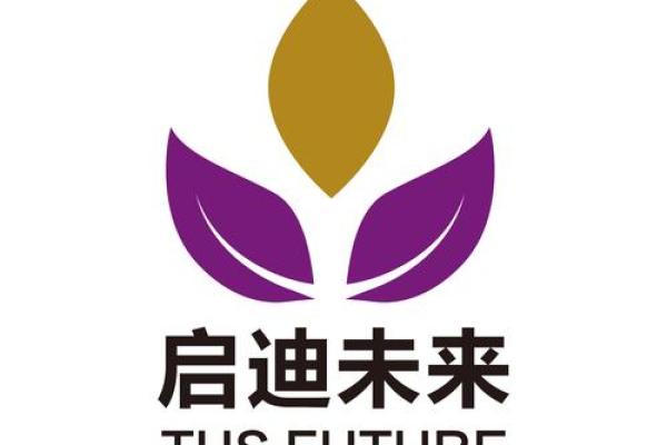 三字投资公司名称的选择技巧与建议