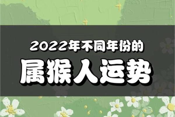 猴八月运势详解：属猴人的好运与挑战