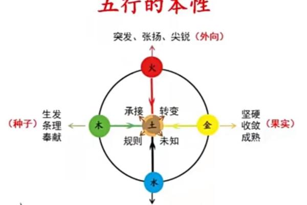 鲁的五行属性揭秘：了解鲁的五行特征与意义