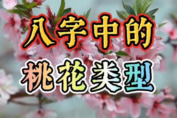 八字桃花运揭秘:如何利用命理吸引真爱? 八字桃花运揭秘:如何利用命理吸引真爱?