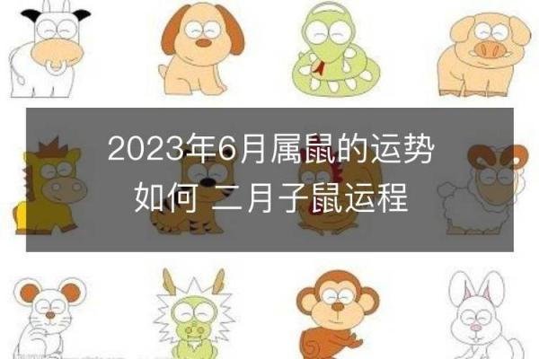 属鼠运势波动及应对策略 属鼠运势波动及应对策略