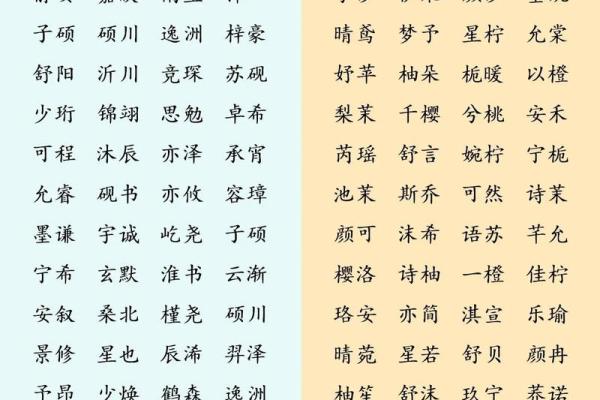 给宝宝起个带“念”字的名字,寓意深远且独特 给宝宝起个带“念”字的名字,寓意深远且独特
