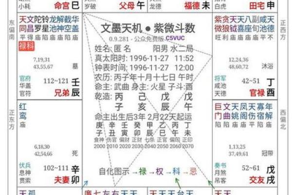 免费下载八字排盘,探索命理的深层次含义 免费下载八字排盘,探索命理的深层次含义