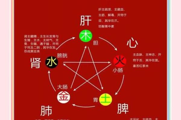 五行十二诀:掌握这秘诀,轻松提升你的运势与健康 五行十二诀:掌握这秘诀,轻松提升你的运势与健康