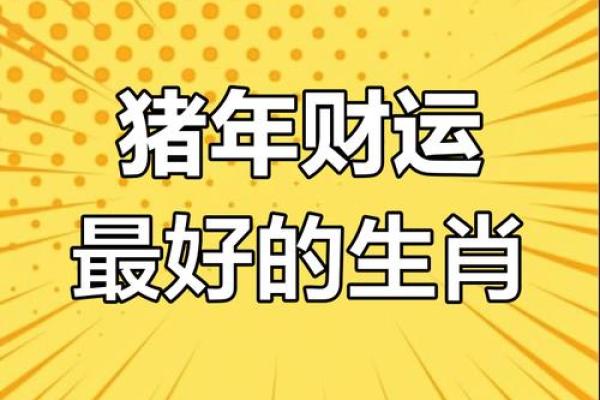 猪年生人运势解析 猪年生人运势解析