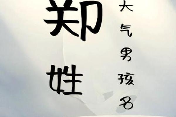 起个独特又有意义的宝宝名字郑 起个独特又有意义的宝宝名字郑