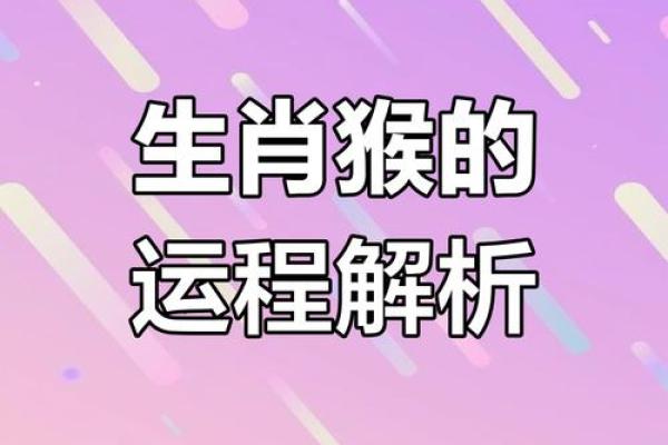 猴人运势运程总结:如何平衡生活中的压力 猴人运势运程总结:如何平衡生活中的压力