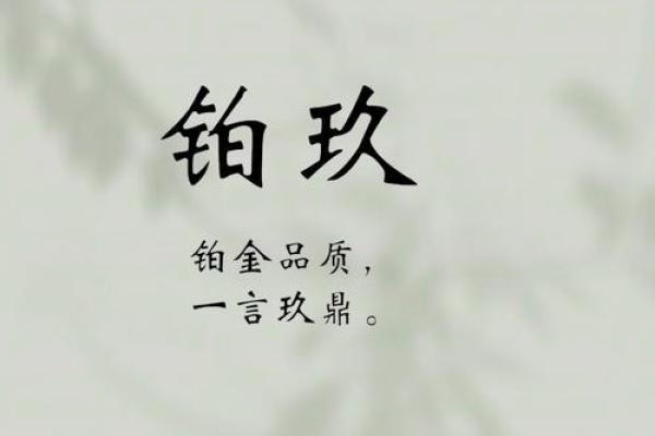 如何为服装外贸公司起个响亮且具吸引力的名字 如何为服装外贸公司起个响亮且具吸引力的名字