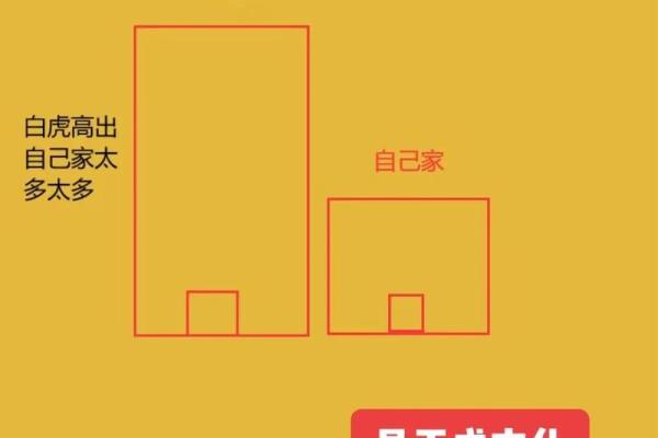 女老板办公风水：青龙白虎布局助力事业腾飞