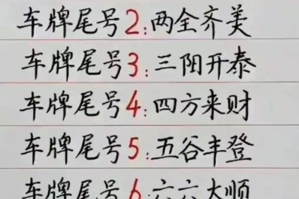 选择合适车牌号码,助你事业顺风顺水 选择合适车牌号码,助你事业顺风顺水