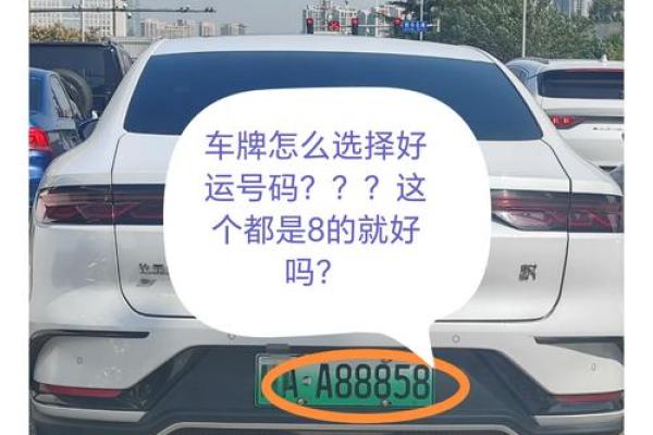 选择合适车牌号码,助你事业顺风顺水 选择合适车牌号码,助你事业顺风顺水