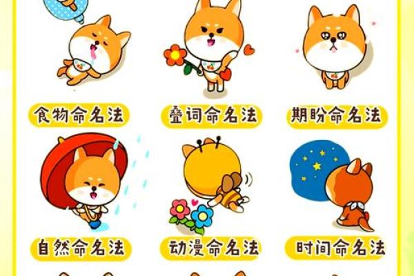 养宠物时,如何选一个简单易记的名字 养宠物时,如何选一个简单易记的名字