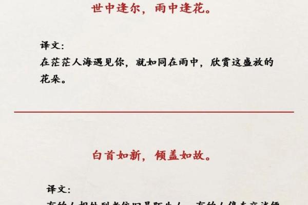 揭秘八字绝句:如何用简短诗句打动人心? 揭秘八字绝句:如何用简短诗句打动人心?